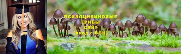 марихуана Инта