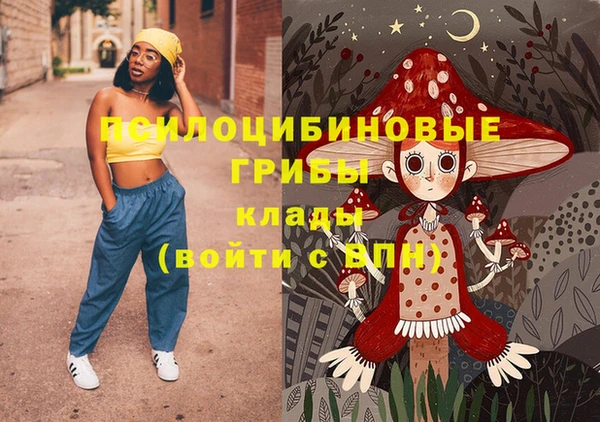 бошки Иннополис