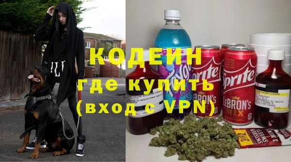 бошки Иннополис