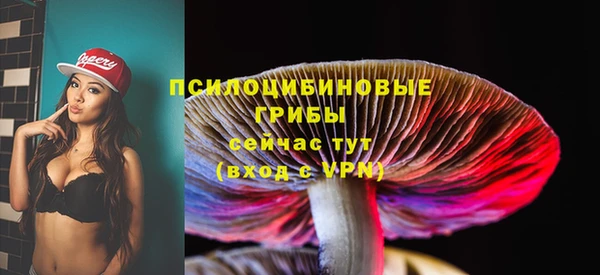 бошки Иннополис