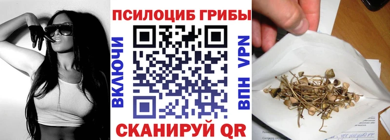 Псилоцибиновые грибы Psilocybine cubensis  Купить где  Новоульяновск 